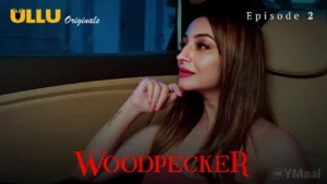 Thumbnail and Poster of the Woodpecker Episode 2 Video